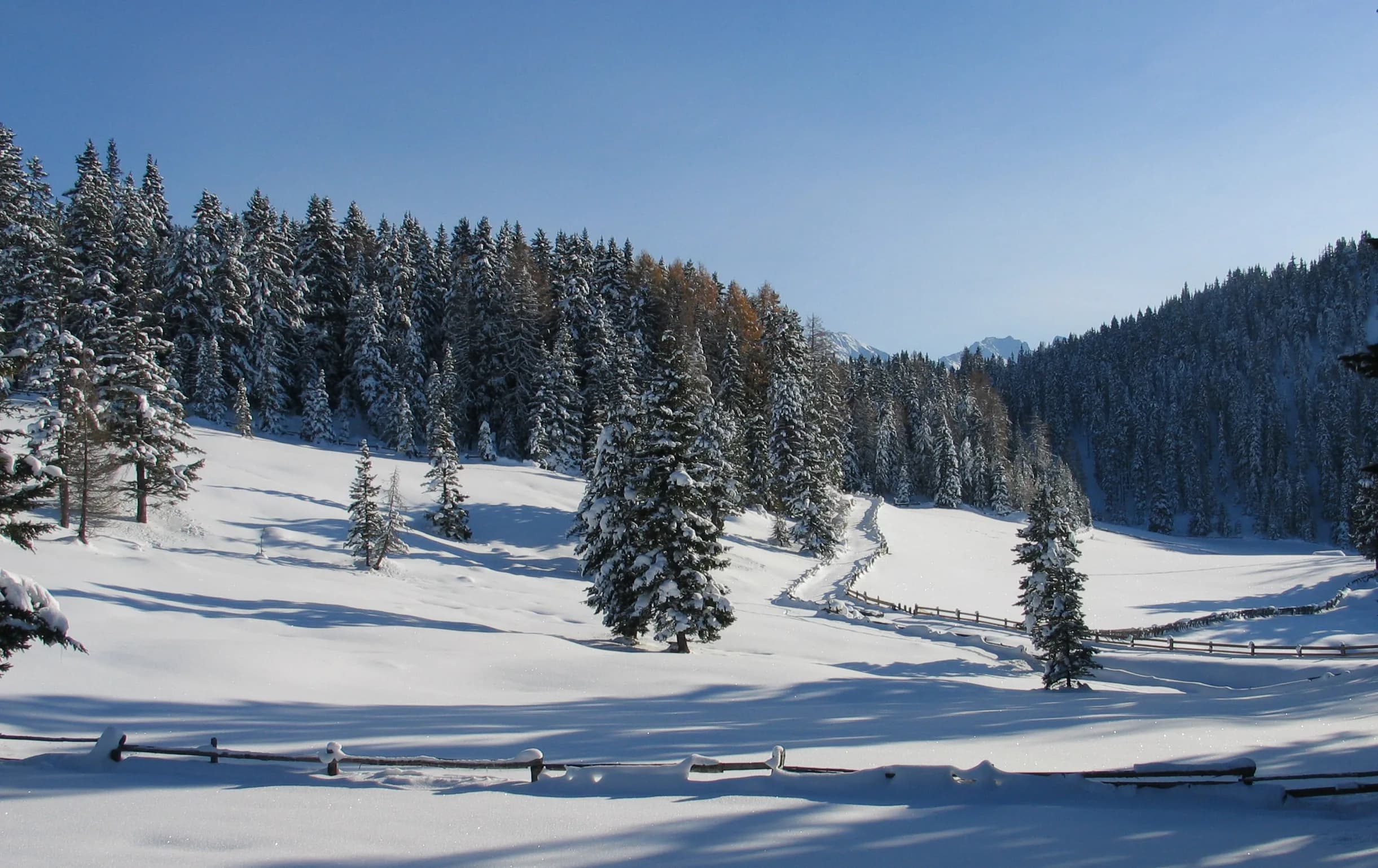 Verschneite Wiesen und Tannen im Naturpark Kaunergrat