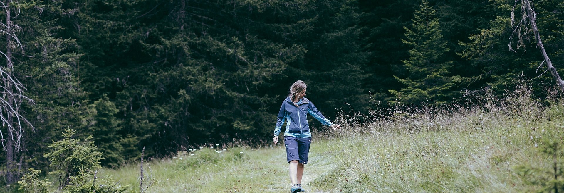 Sommerlandschaft im Pitztal