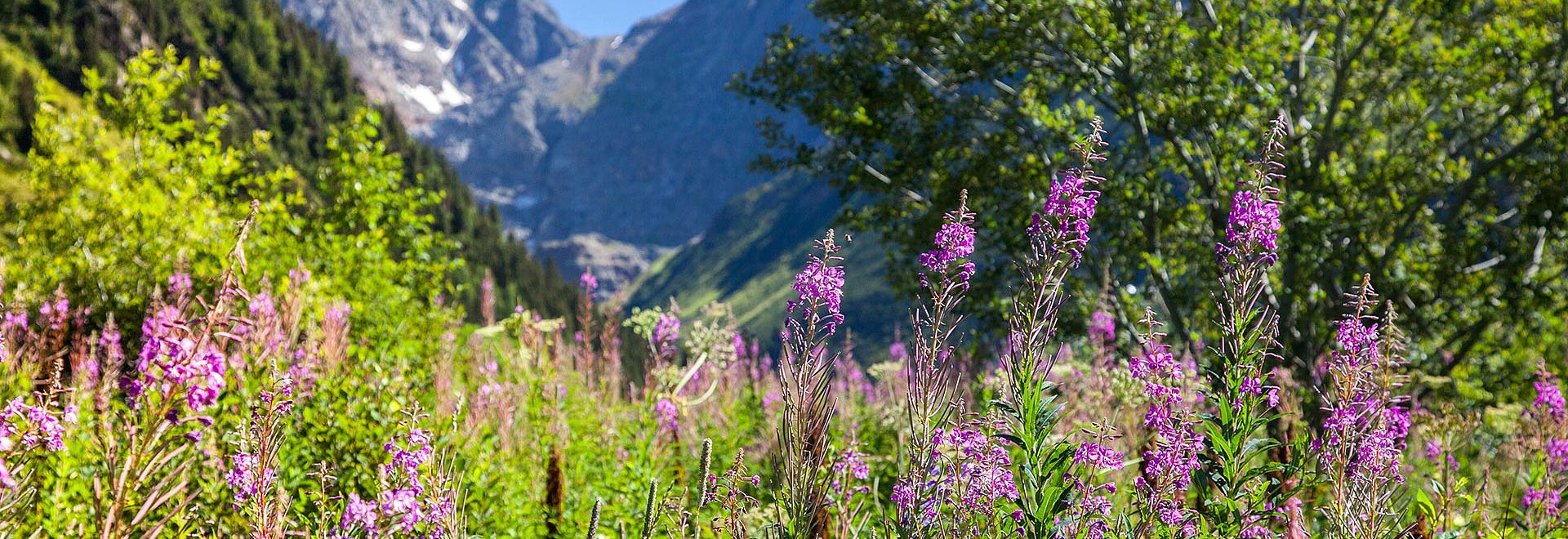 Sommerlandschaft im Pitztal