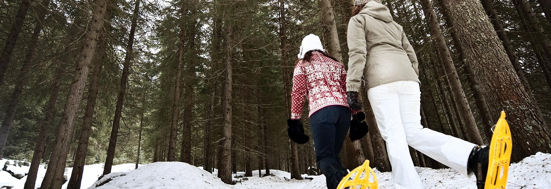 Schneeschuhwandern im Pitztal